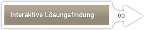 Interaktive Lösungsfindung