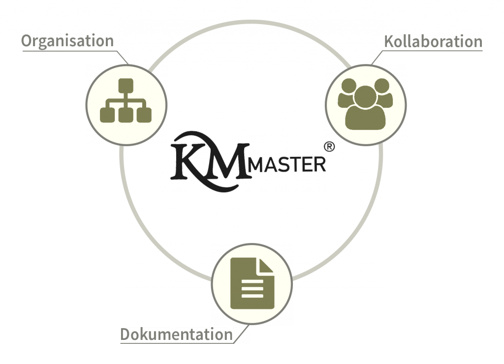 KMmaster Zusammenarbeit  in Organisationen